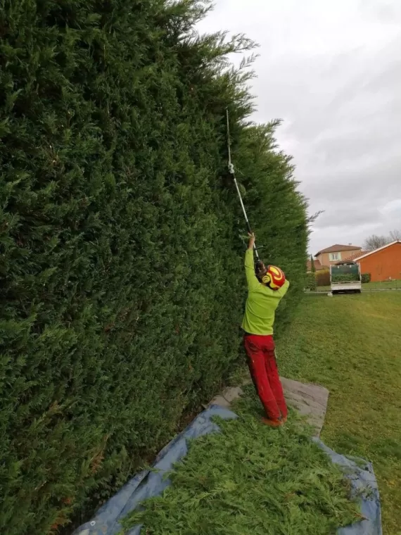 Taille de haie, Châtillon-sur-Chalaronne, Au Respect de l'Arbre