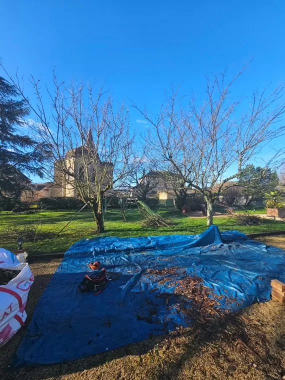 Élagage et éclaircie de bois mort sur un pommier à Vonnas