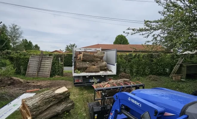 Démontage d'un pin sylvestre à Peronnas , Châtillon-sur-Chalaronne, Au Respect de l'Arbre