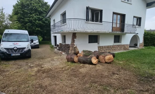 Démontage d'un pin sylvestre à Peronnas , Châtillon-sur-Chalaronne, Au Respect de l'Arbre