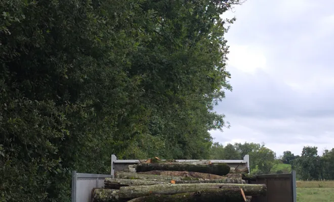 Évacuation de bois, Châtillon-sur-Chalaronne, Au Respect de l'Arbre