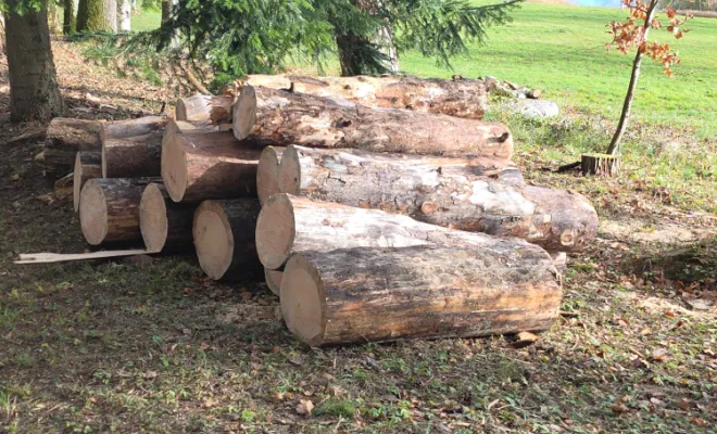 Évacuation de bois, Châtillon-sur-Chalaronne, Au Respect de l'Arbre