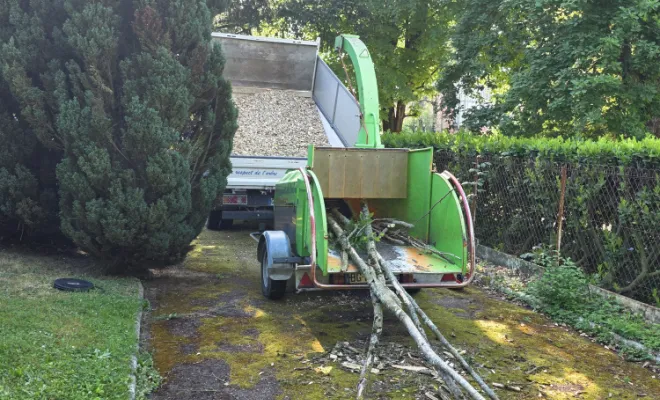 Élagage d'un charme avec mise en sécurité à Châtillon-sur-Chalaronne, Châtillon-sur-Chalaronne, Au Respect de l'Arbre