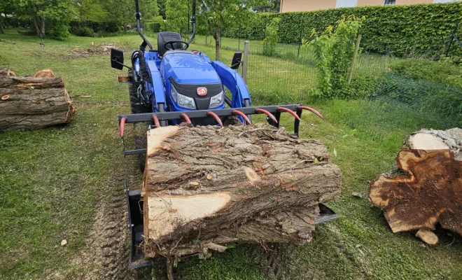 Évacuation de bois, Châtillon-sur-Chalaronne, Au Respect de l'Arbre