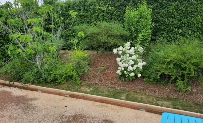 Débroussaillage de jardin, Châtillon-sur-Chalaronne, Au Respect de l'Arbre