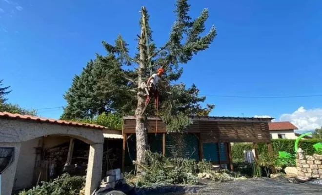 Élagage d'arbre, Châtillon-sur-Chalaronne, Au Respect de l'Arbre
