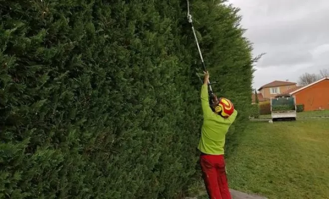 Taille de haie, Châtillon-sur-Chalaronne, Au Respect de l'Arbre
