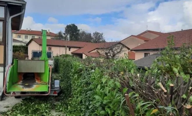 Taille de haie, Châtillon-sur-Chalaronne, Au Respect de l'Arbre